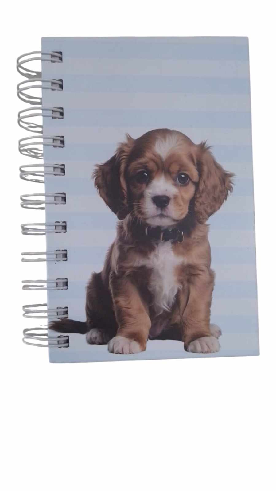 AGENDA A6 LOVE PET 2026 KZ1161